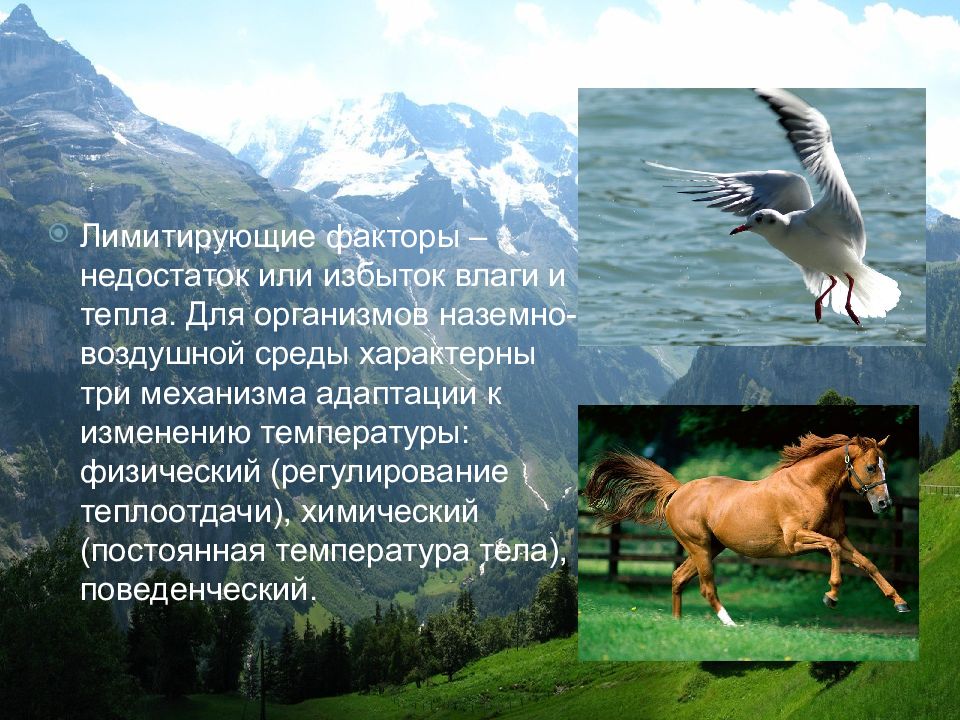 ограничивающие факторы наземно воздушной среды. ограничивающие факторы наземно воздушной среды. лимитирующие факторы наземно-воздушной среды. лимитирующим фактором наземно воздушной среды является. лимитирующие факторы наземно-воздушной среды обитания.