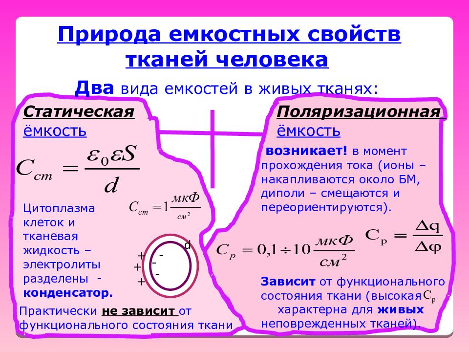 Ткань проводимость. Природа емкостных свойств тканей организма. Емкостные свойства биологических тканей. Электрические свойства биологических тканей. Емкостные свойства ткани.