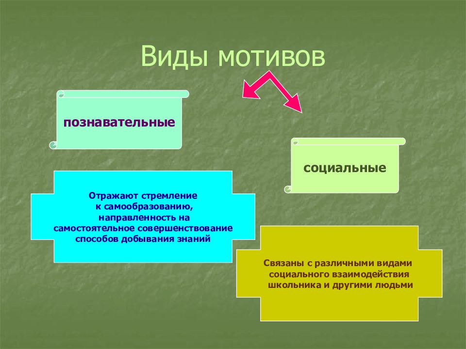 Социальная отражает