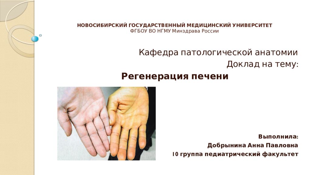 Новосибирский государственный медицинский университет ФГБОУ ВО НГМУ Минздрава России
