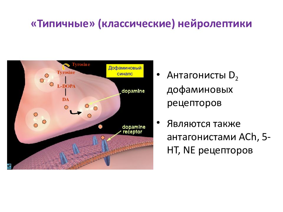 Нейролептики нового поколения без побочных действий. Механизм действия типичных нейролептиков. Механизм типичных нейролептиков. Антагонисты нейролептиков. Механизм антипсихотического действия типичных нейролептиков.