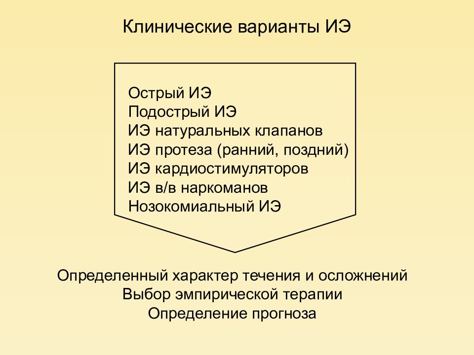 Инфекционный эндокардит презентация