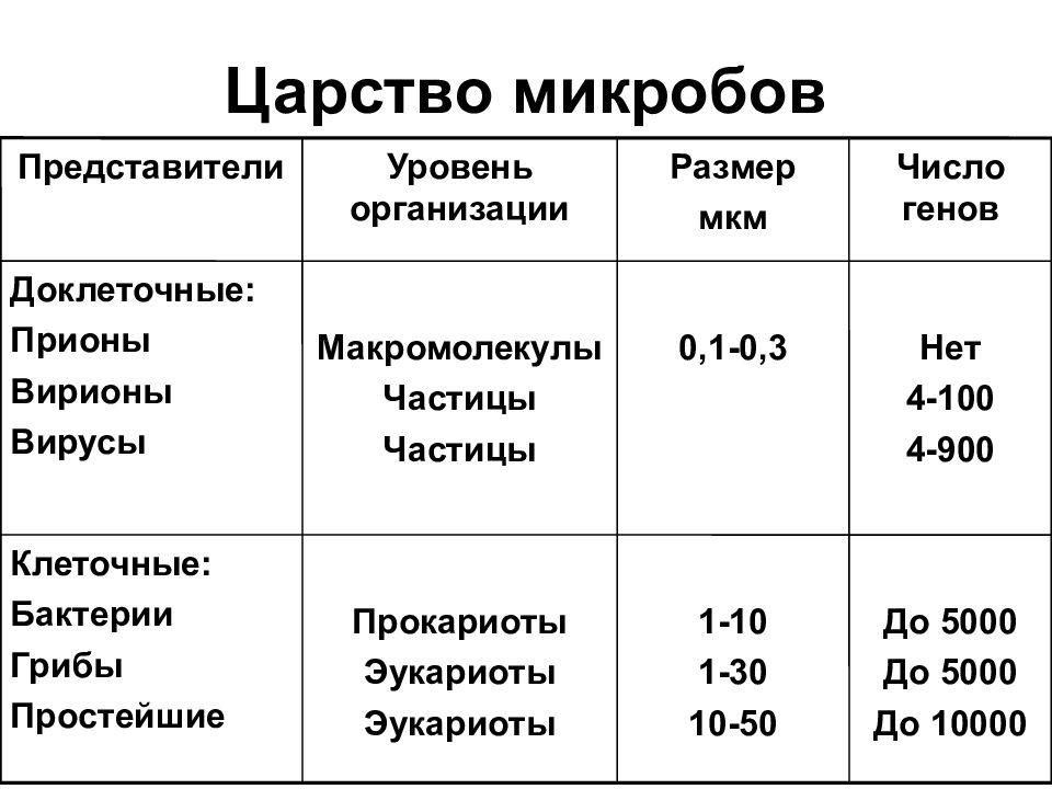 Размеры бактерий. Размеры грибов микроорганизмов. Размеры микроорганизмов таблица. Размер бактерии мкм. Размеры бактерий и вирусов в мкм.