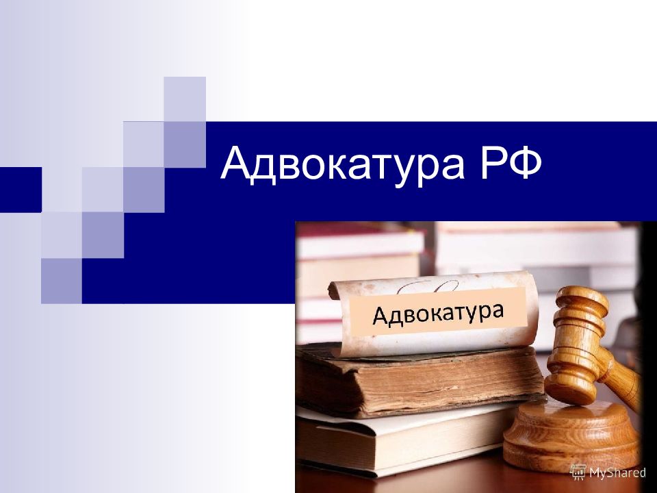 Адвокатура картинки для презентации