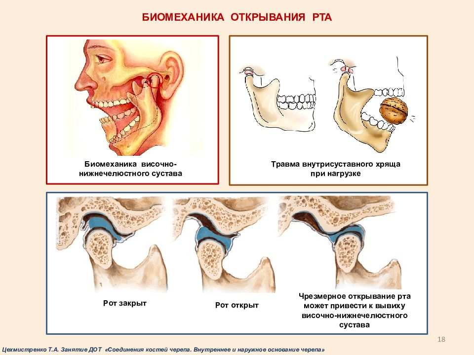 Вывих челюсти карта вызова скорой