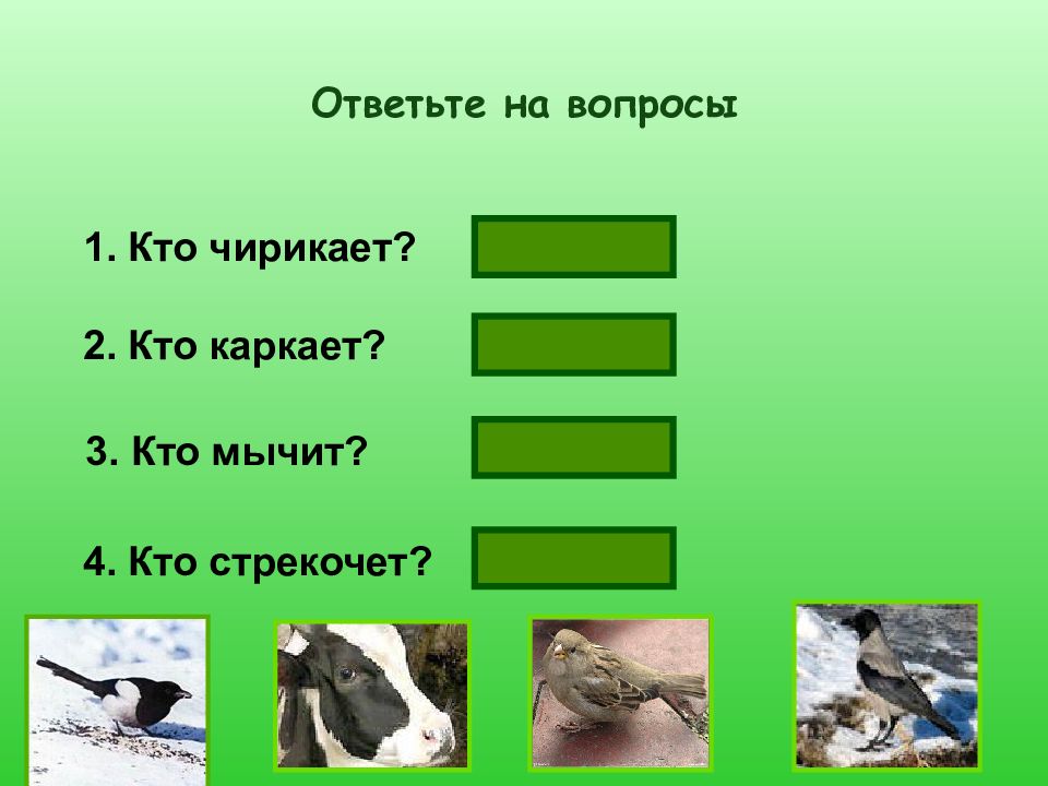 Ворона каркает составить предложение. Кто каркает. Чирикает а каркает. Кто как чирикает. Схема предложения на ветке чирикает Воробей.