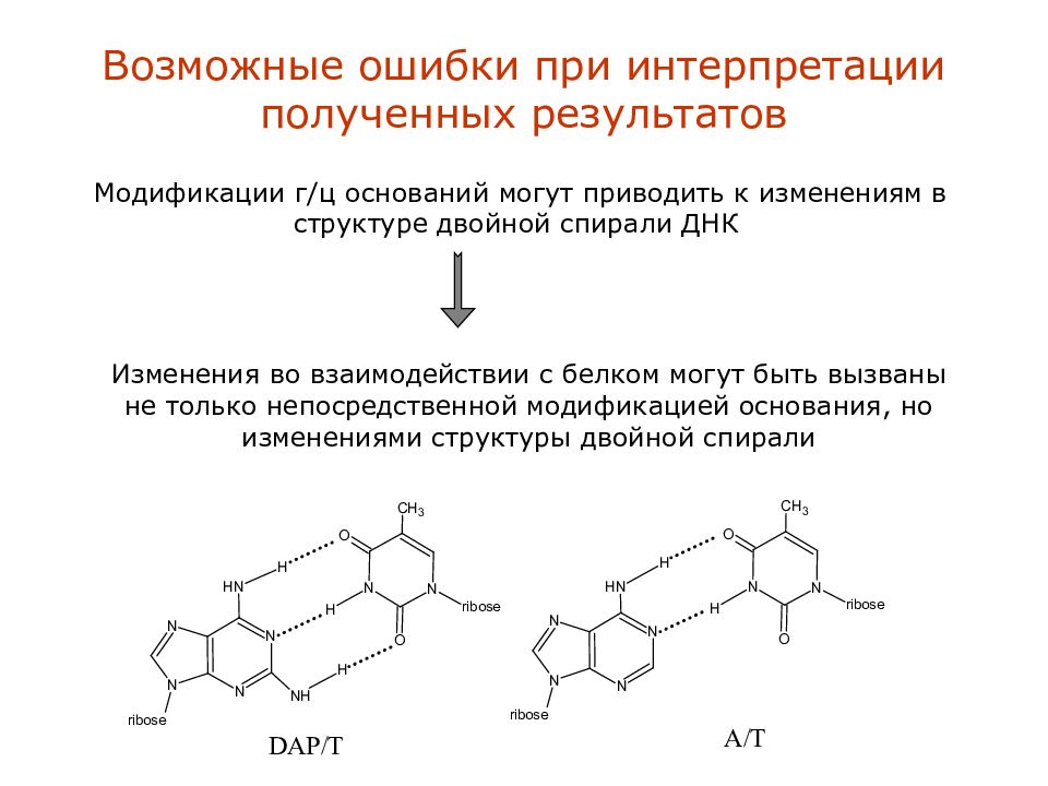 Состав двойного. Модифицированные олигонуклеотиды. Модификация при интерпретации. Модифицированные основания. Основания олигонуклеотидов.