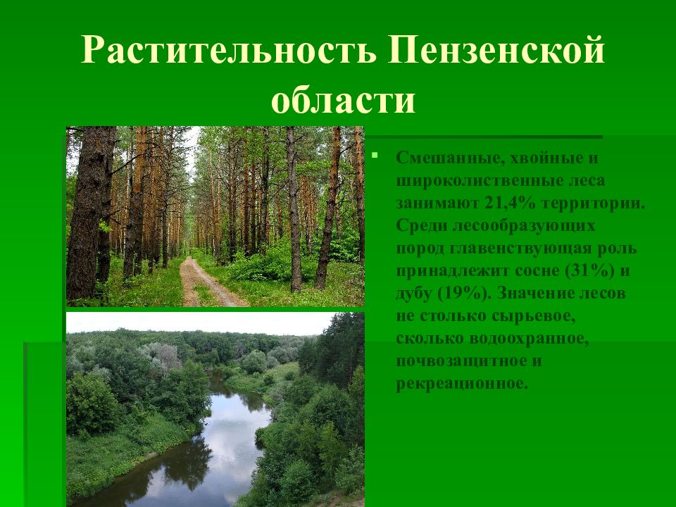 Пензенские растения. Растительный мир Пензенской области. Растительность Пензенской области. Растительный и животный мир Пензенской области. Растения Пензенского края.