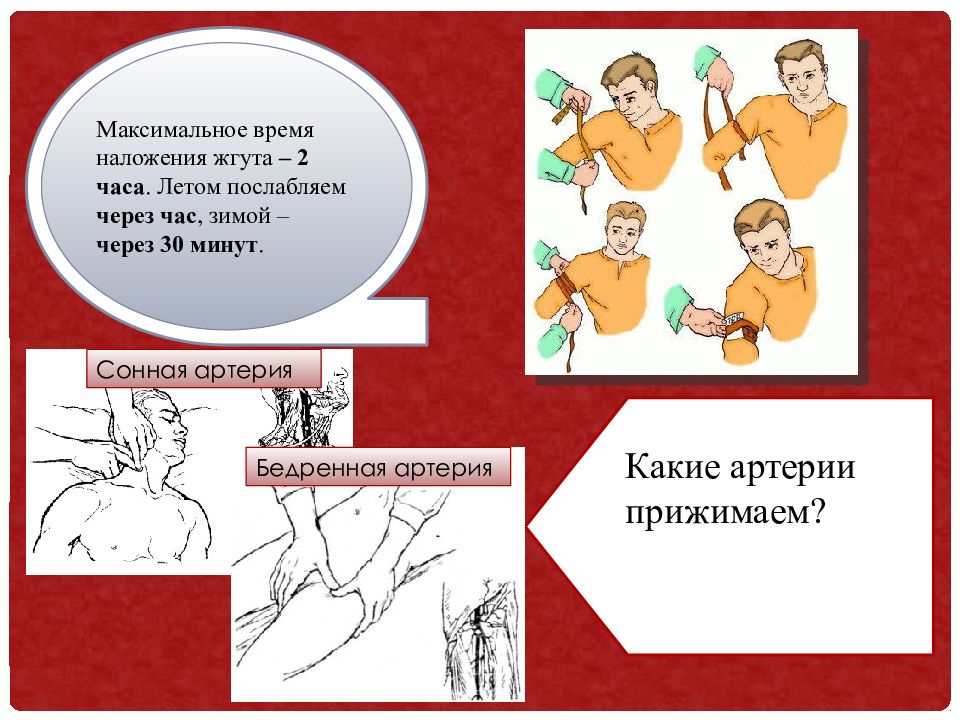 Максимальное время наложения жгута летом. Максимальное время наложения жгута летом. Время наложения жгута. Жгут максимальное время наложения. Жгут максимальное время наложения.