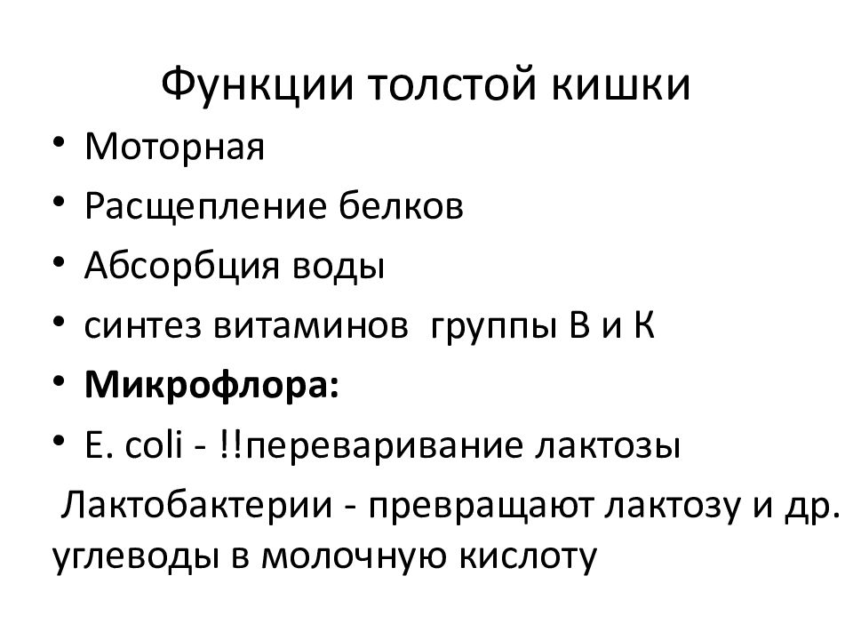 Функция толстого. 2 Функции толстой кишки. Функции Толстого кишечника. Основная функция Толстого кишечника. Функции Толстого кишечника витамины.