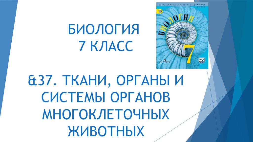 БИОЛОГИЯ 7 КЛАСС &3 7. ТКАНИ, ОРГАНЫ И СИСТЕМЫ ОРГАНОВ МНОГОКЛЕТОЧНЫХ ЖИВОТНЫХ