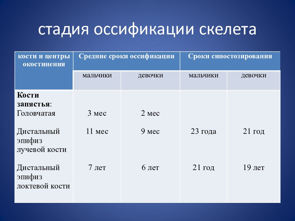 Средняя дата. Степень оссификации скелета. Этапы оссификации скелета. Сроки оссификации скелета человека. Сроки оссификации костей.