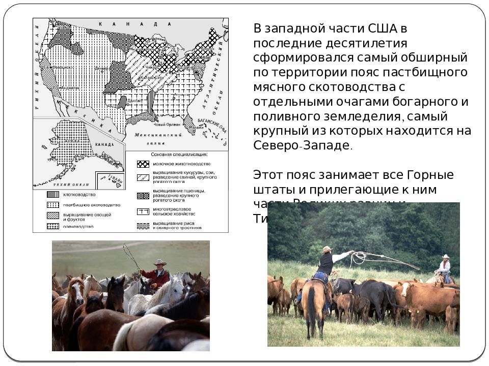 Презентация население и хозяйство сша