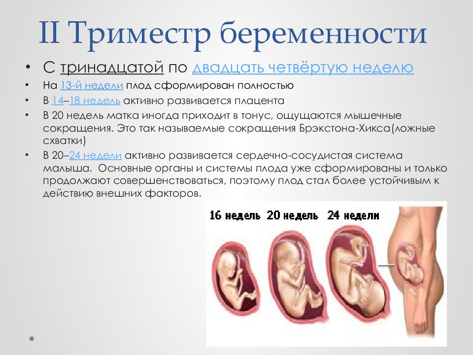 Конец 2 триместра. Беременность 2 триместр беременности это. Первый второй и третий триместр беременности. Гипертонус матки при беременности 2 триместр. Тонус плода при беременности в 2 триместре.