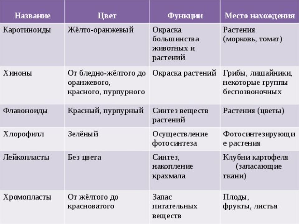 Пигменты растений презентация