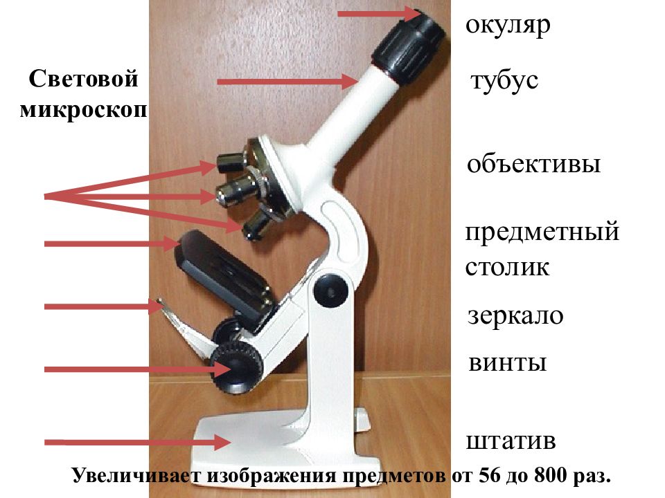 Микроскоп это прибор увеличивающий изображение в несколько сот раз исправить ошибки