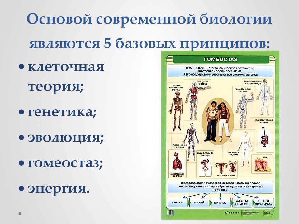 5 принципов биологии. Основой современной биологии являются 5 базовых принципов. Принципы биологии. 5 Базовых принципов биологии. Клеточная теория генетика.