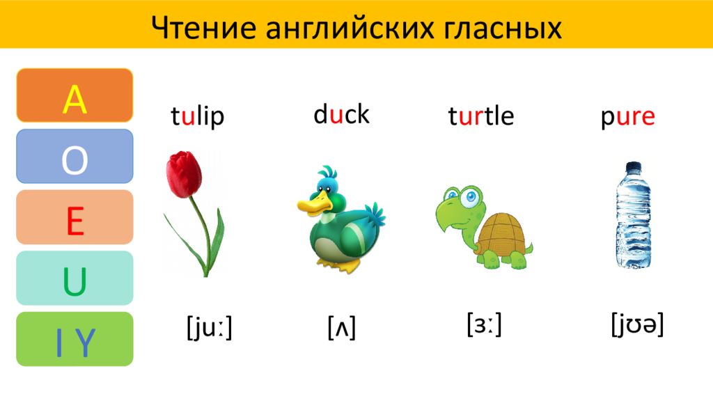 Чтение гласных в английском. Гласные в английском языке. Гласные in English. 6 Гласных букв английского языка. Vowels в английском языке.