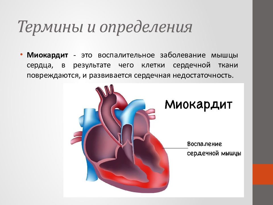 Сестринская помощь при патологии сердечно сосудистой системы презентация