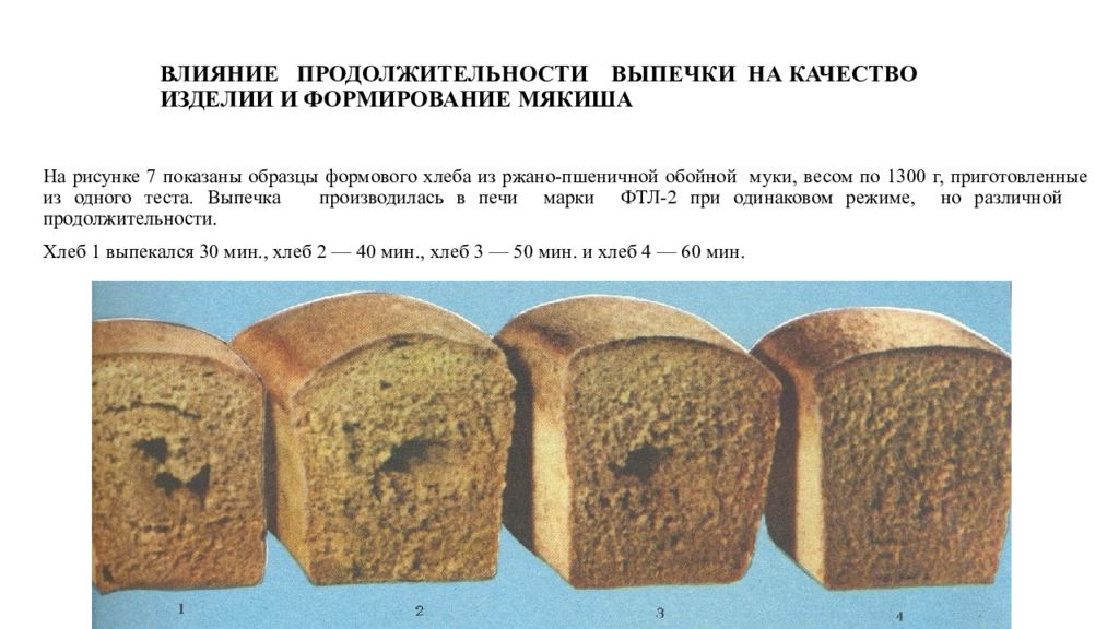 Сколько выпекается хлеб