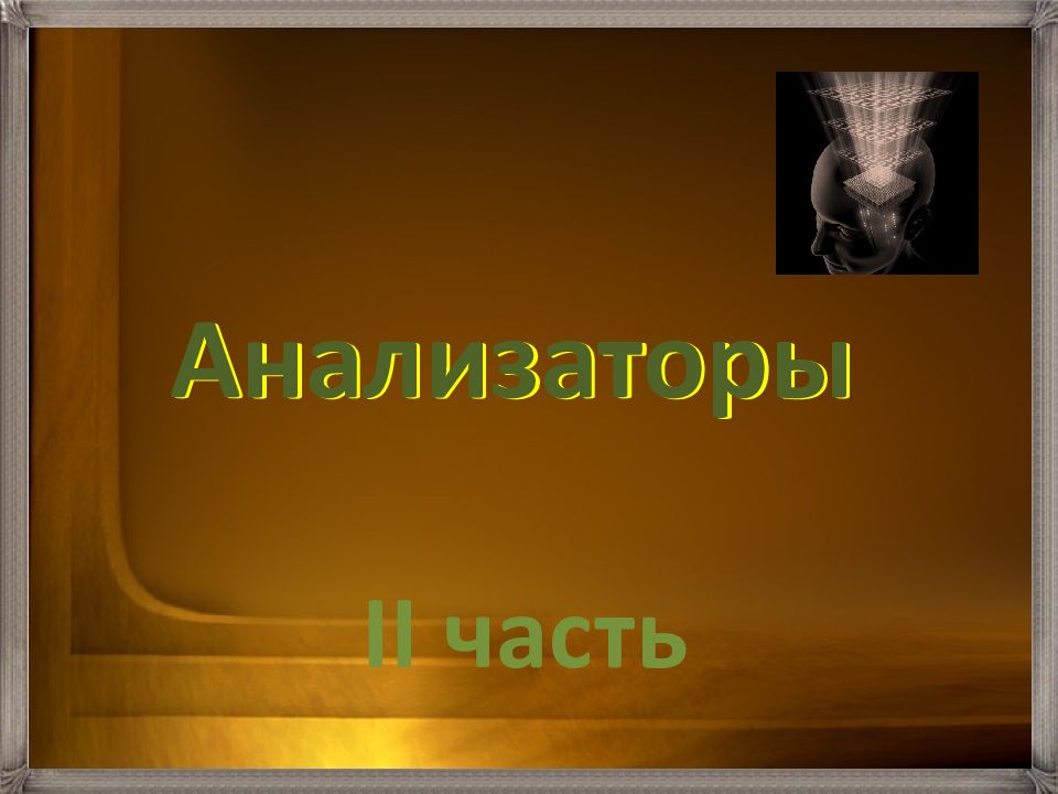 Анализаторы Анализаторы II часть