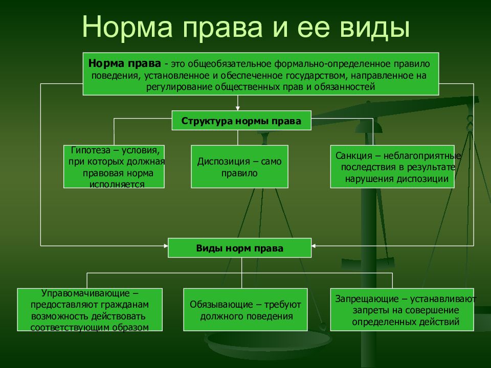 Тгп правовые отношения презентация