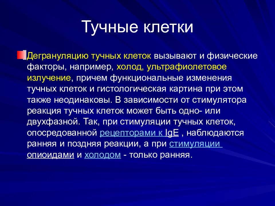 Тучные клетки. Тучные клетки функции. Тучные клетки время жизни. Тучные клетки и иммунитет.