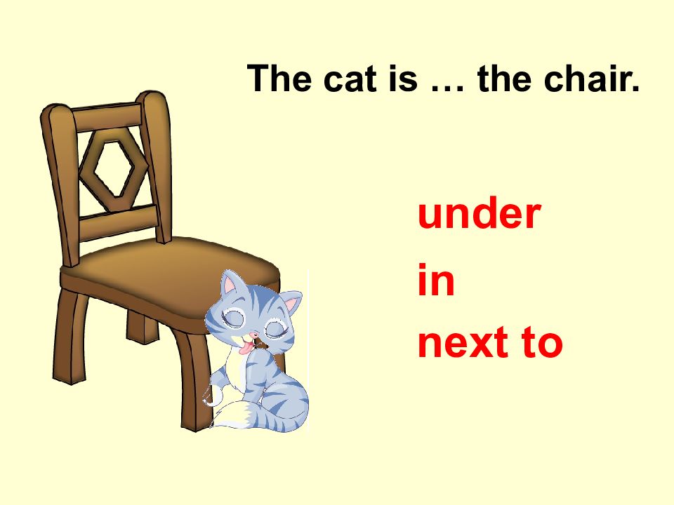 It s under the table. Предлоги in on under next to. The Cat is the Chair. The Cat is on the Chair. The Cat is the Armchair.