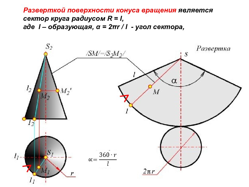 Развертка усеченного. Развёртка конуса Начертательная геометрия. Как строится развертка конуса. Как построить развертку конуса. Построение развертки прямого кругового конуса.