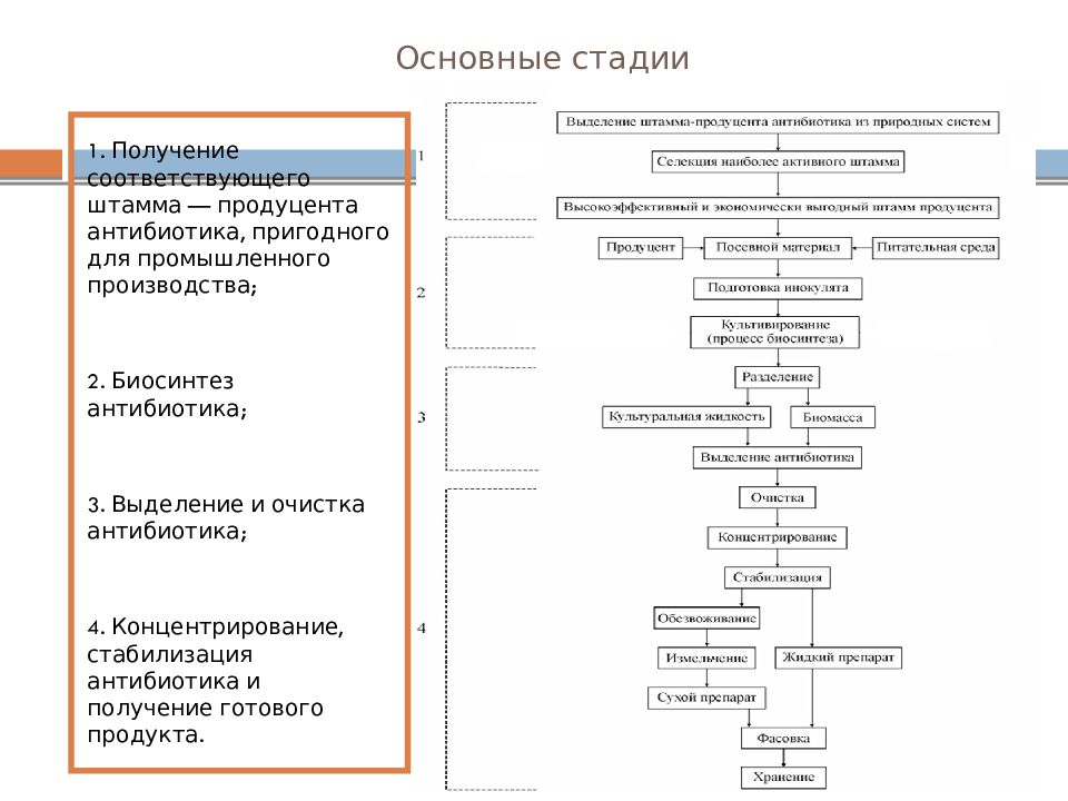 Производство антибиотиков презентация