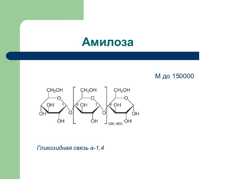 1 1 гликозидной связью. Амилоза. Фрагмент амилозы. Амилоза формула. Амилоза характер гликозидной связи.