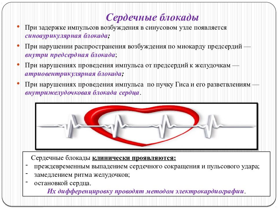 Сердечный 20