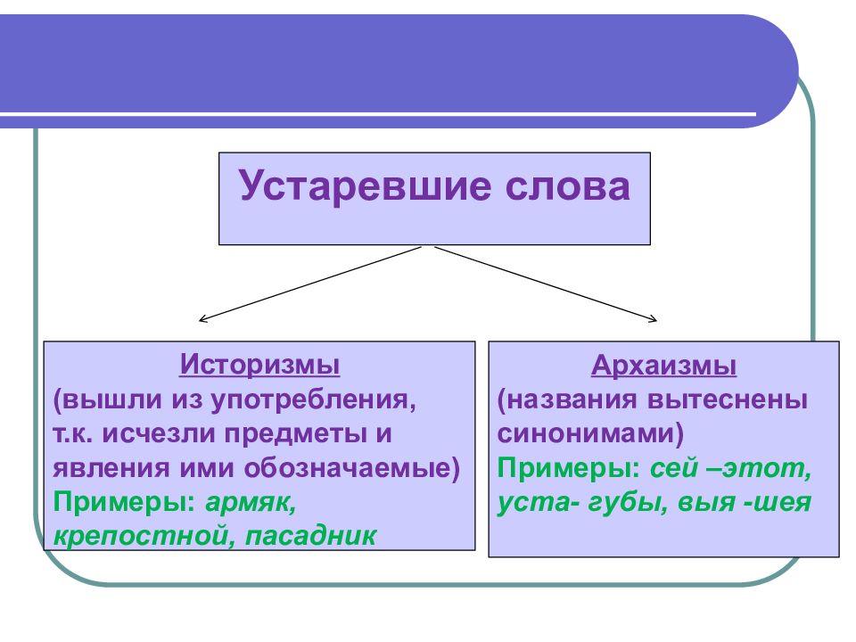 Историзмы архаизмы и неологизмы 5 класс презентация