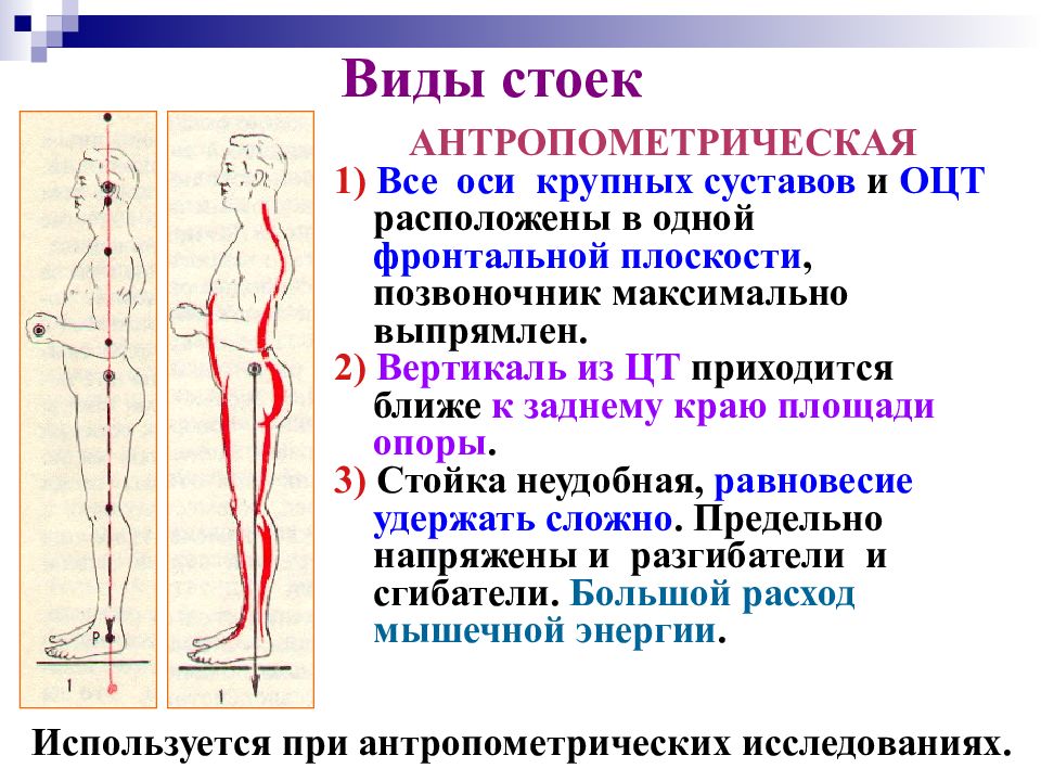 Прикладная биомеханика. Антропометрическая стойка. Задачи по биомеханике. Принципы биомеханики. Антропометрическое положение тела.