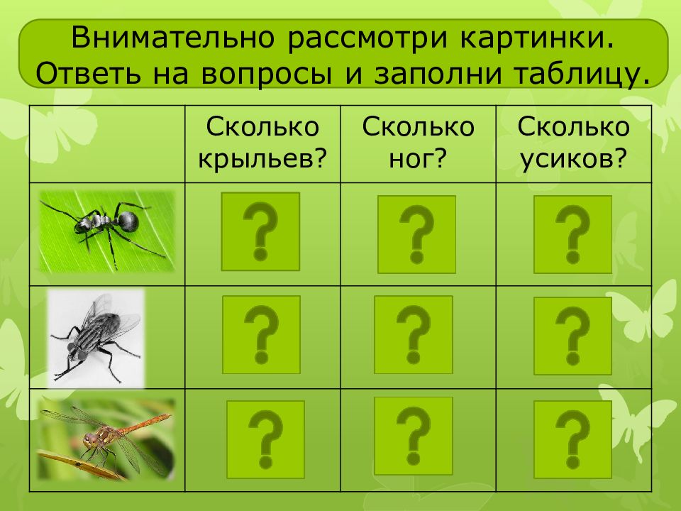 Рассмотрите изображения предложенных вам животных заполните таблицу