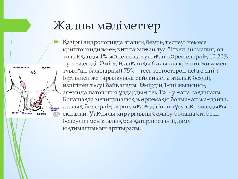Жалпы мәліметтер