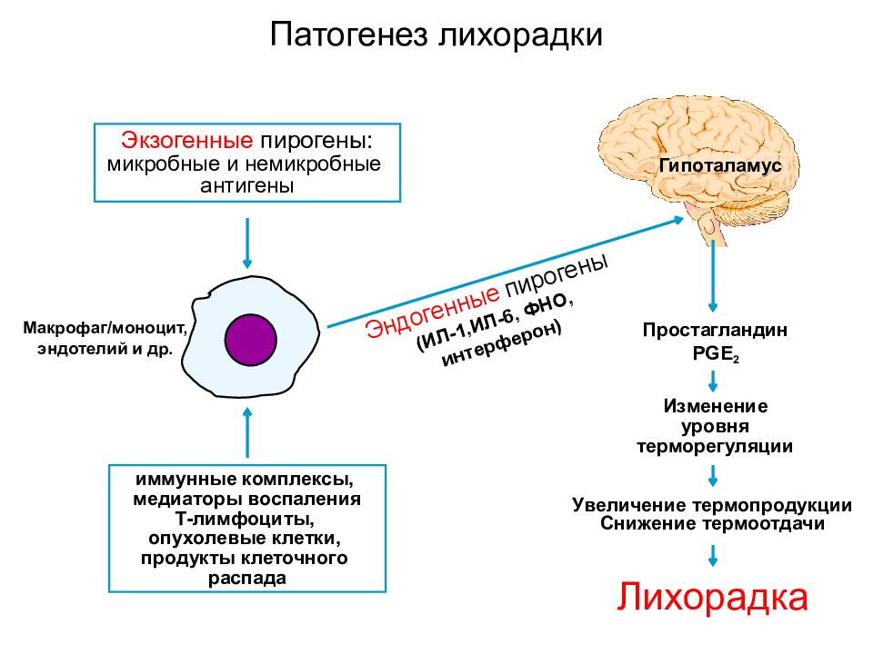 Клиническая картина лихорадки таблица