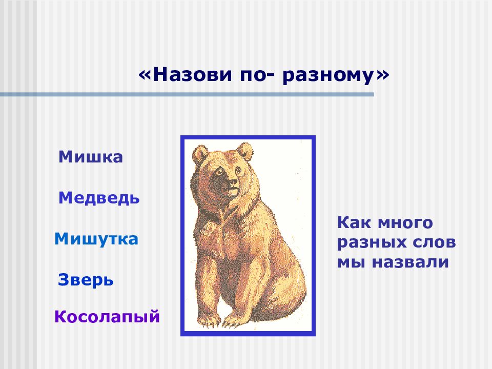 Формы слова медвежонок. Имя для медведя. Как зовут медведя. Клички медведей. Известные медведи имена.