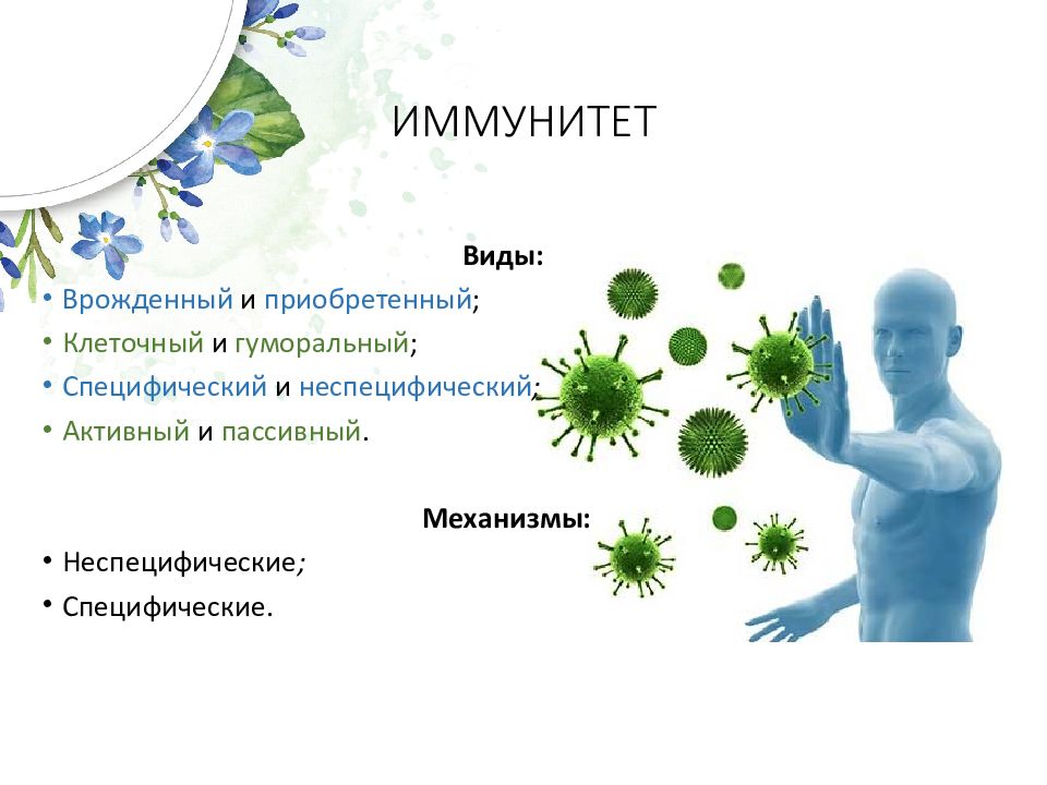 Иммунная и лимфатическая система презентация