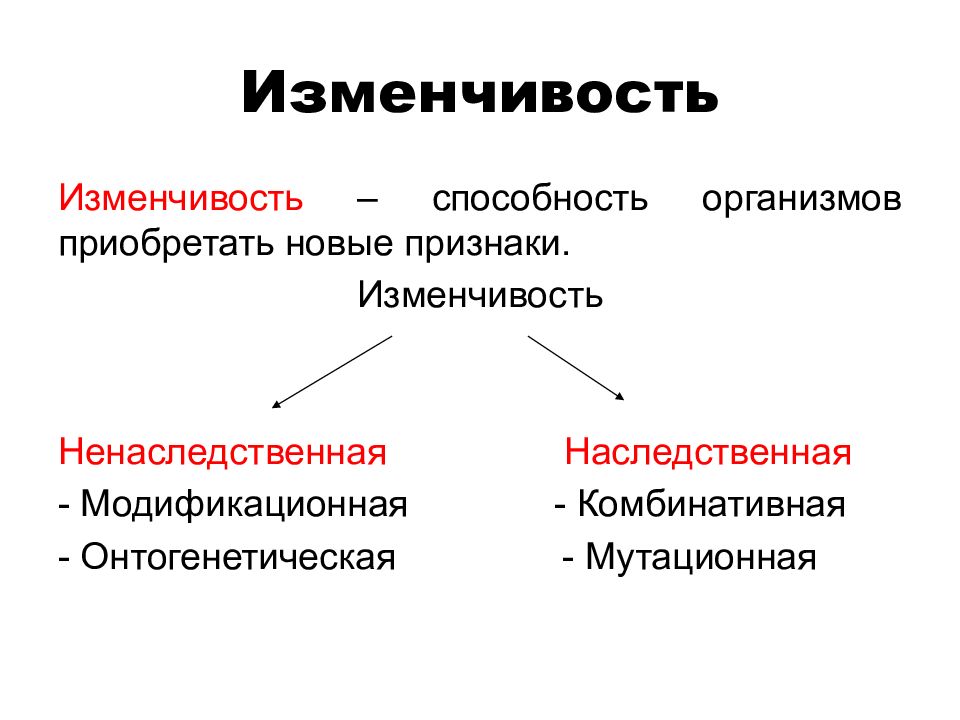 Мутационная изменчивость презентация