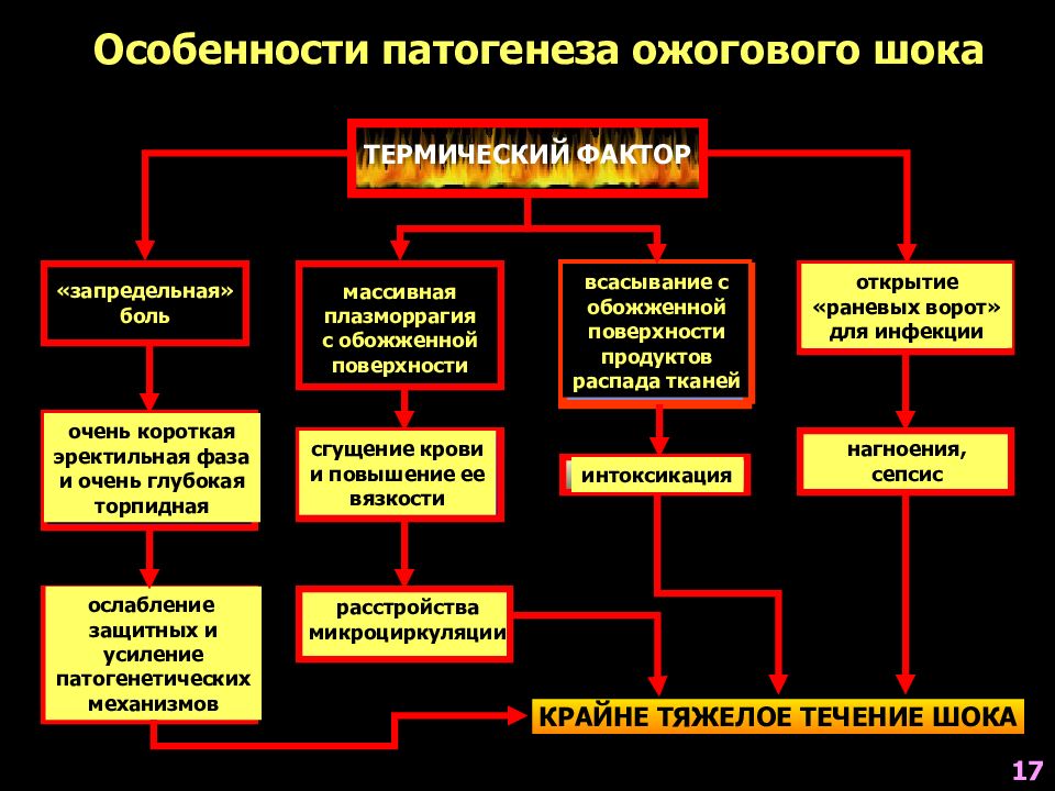 Патогенез ожоговой болезни схема