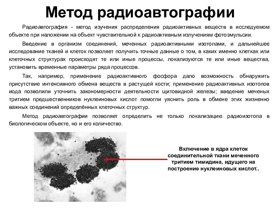 Метод меченых атомов презентация