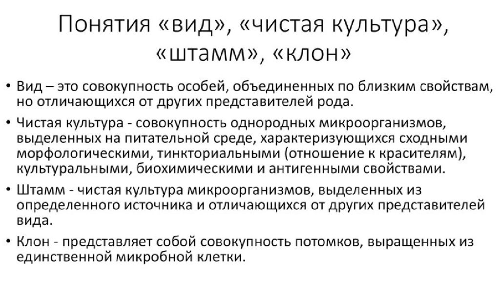 Колония это микробиология. Понятие о виде, штамме, чистой культуре.. Понятие о виде культура штамм клон. Вид чистая культура штамм клон. Понятия «чистая культура», «штамм», «клон»..