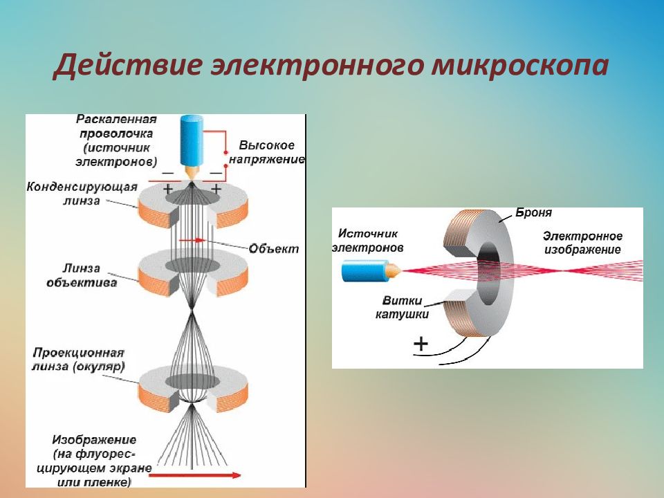 Электронная микроскопия презентация