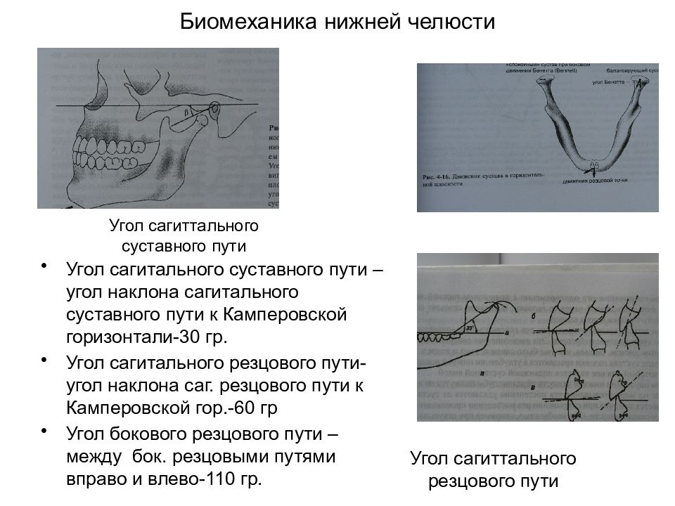 Биомеханика нижней челюсти презентация