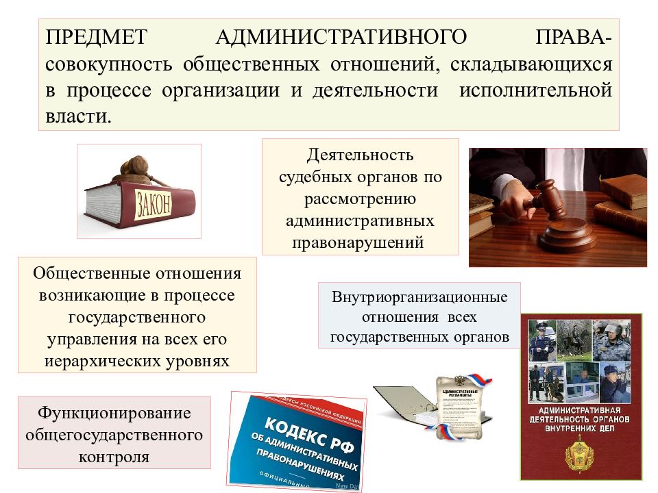 Административное право в картинках и схемах