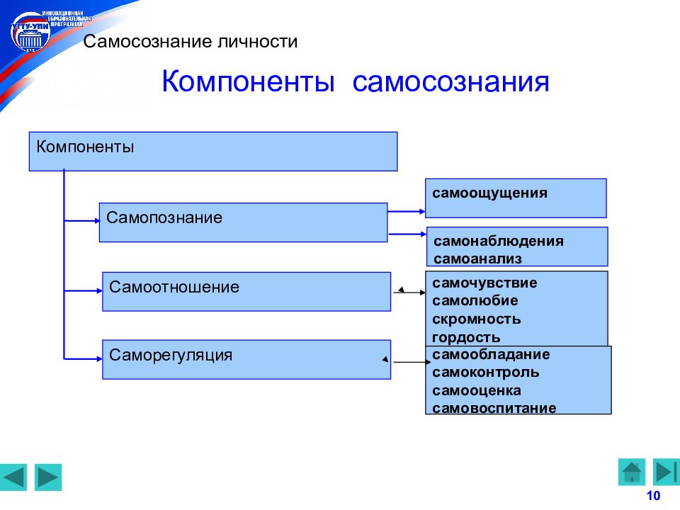 Элемент личности характеристика