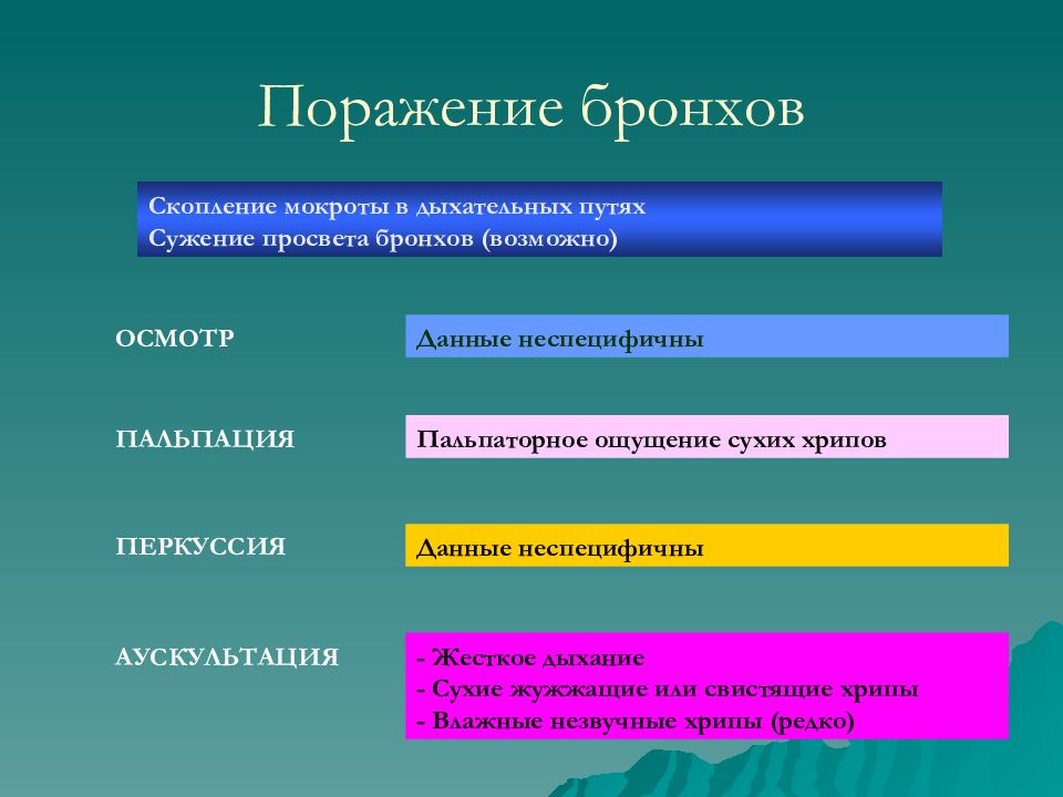 Возможно данные. Аускультативная картина при сужении просвета бронхов. Какова аускультативная картина при сужении просвета бронхов. Аускультация при сужении просвета бронхов. Аускультативная сужение Просветов бронхов.