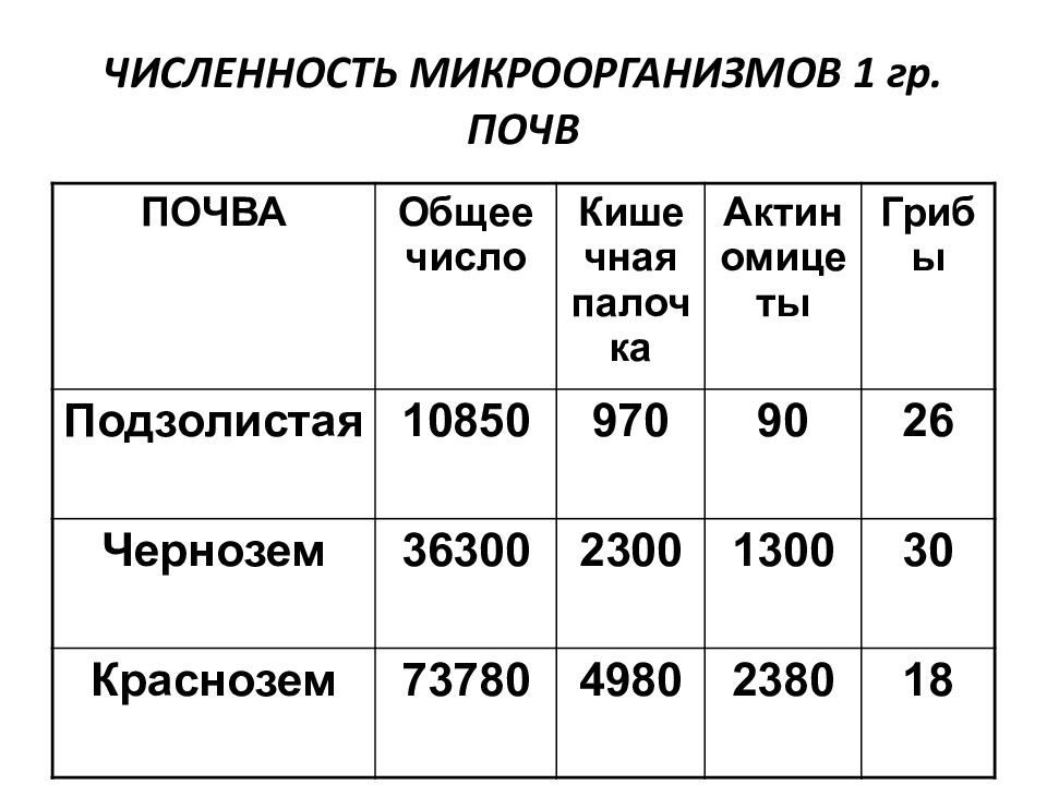 Сколько микроорганизмов в теле человека. Микрофлора почвы. Определение количества бактерий. Численность бактерий. Сколько бактерий в человеке количество.