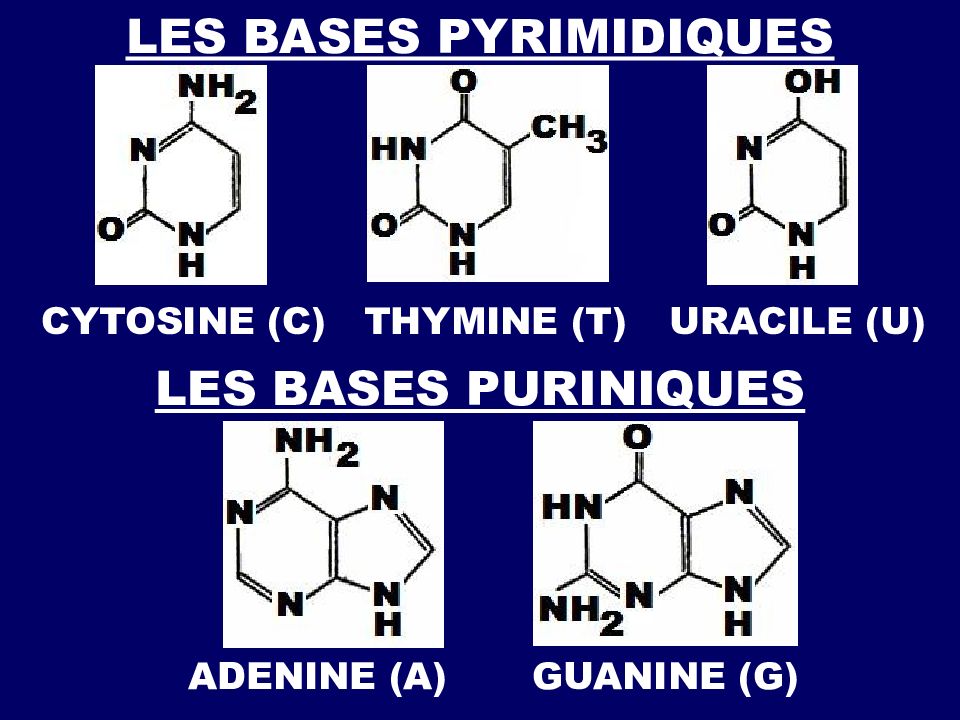 Rotation des corps книга. Sketchup приложение логотип. Оригами николай 2 туториал хуман. Принцесса с манекеном. Les bases.